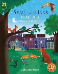 Seall Agus Inns De Chi Thu Anns A' Bhaile (hftad)