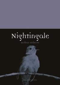 Nightingale (hftad)
