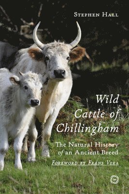 Wild Cattle of Chillingham (inbunden)