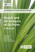 Bunch and Oil Analysis of Oil Palm