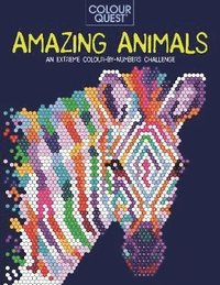 Colour Quest (R): Amazing Animals (häftad)