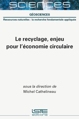 Recyclage, Enjeu Pour l'Ã(c)Conomie Circulaire (häftad)