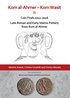 Kom al-Ahmer - Kom Wasit II: Coin Finds 2012-2016 / Late Roman and Early Islamic Pottery from Kom al-Ahmer