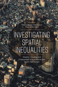 Investigating Spatial Inequalities (e-bok)