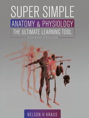 Super Simple Anatomy and Physiology: The Ultimate Learning Tool (häftad)