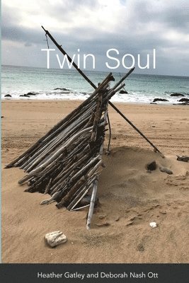 Twin Soul (häftad)