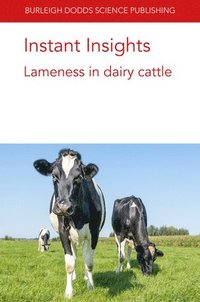 Instant Insights: Lameness in Dairy Cattle (häftad)
