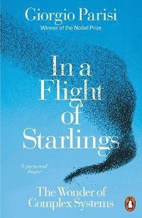 In a Flight of Starlings (häftad)