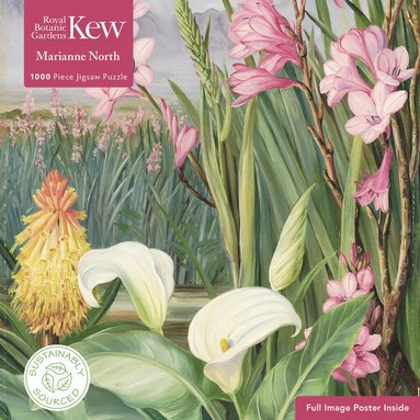Adult Sustainable Jigsaw Puzzle Kew Gardens: Marianne North: Beauties of the Swamps at Tulbagh (hftad)