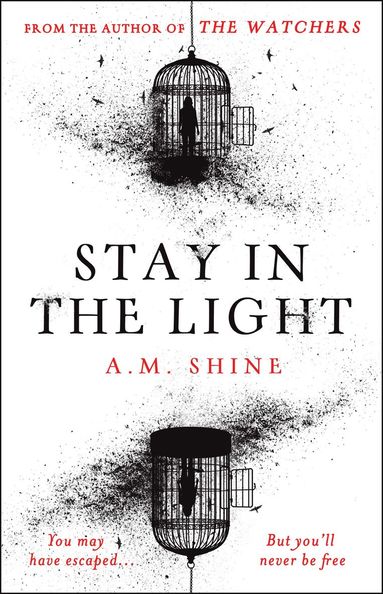 Stay in the Light (häftad)
