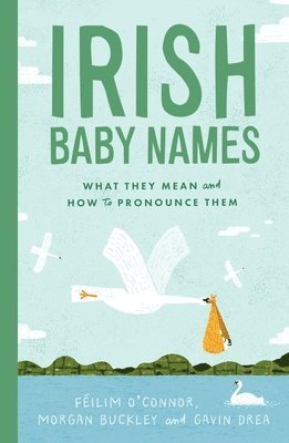 Irish Baby Names (inbunden)