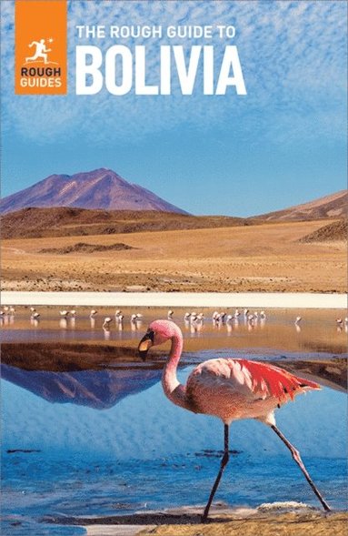Rough Guide to Bolivia: Travel Guide eBook (inbunden)