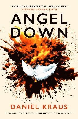 Angel Down (h�ftad)
