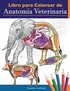 Libro Para Colorear De Anatomia Veterinaria - Anatomy Academy - Häftad ...