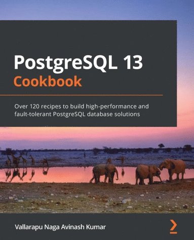 PostgreSQL 13 Cookbook (häftad)