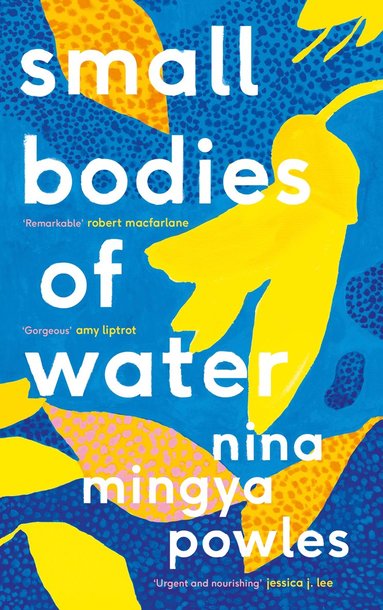 Small Bodies of Water (häftad)