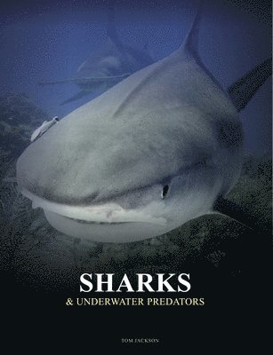 Sharks and Underwater Predators (häftad)