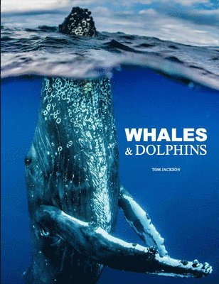 Whales & Dolphins (häftad)