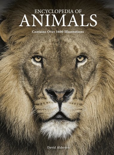 Encyclopedia of Animals (inbunden)