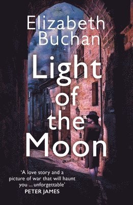Light of the Moon (häftad)