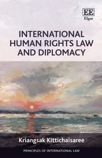 International Human Rights Law and Diplomacy (e-bok)