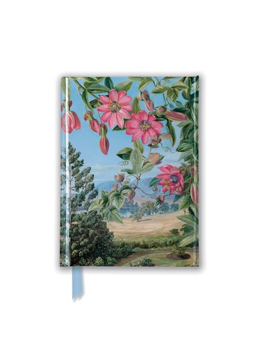 Kew Gardens: Marianne North: View in Brisbane Botanic Garden (Foiled Pocket Journal)