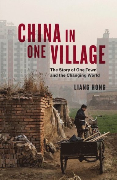 China in One Village (häftad)