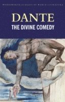 The Divine Comedy (häftad)