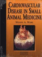 Colour Handbook Of Small Animal Cardiology (inbunden)