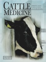 Cattle Medicine (inbunden)