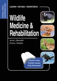 Wildlife Medicine and Rehabilitation (hftad)