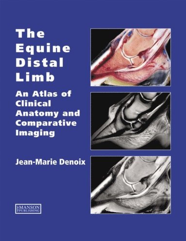 Equine Distal Limb (hftad)