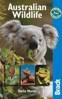 Australian Wildlife (hftad)