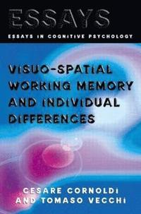 Visuo-spatial Working Memory and Individual Differences (inbunden)