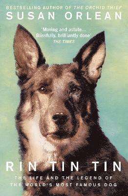 Rin Tin Tin (h�ftad)