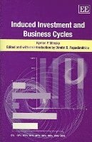 Induced Investment and Business Cycles (inbunden)