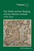 Welsh and the Shaping of Early Modern Ireland, 1558-1641