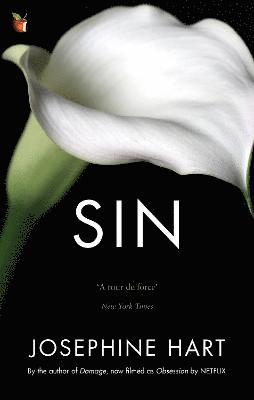 Sin (häftad)