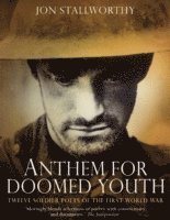 Analysis Of Wilfred Owens Anthem For Doomed