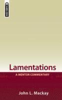 Lamentations: A Mentor Commentary (häftad)
