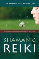 Shamanic Reiki  Expanded Ways of Working with Universal Life Force Energy (hftad)
