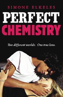 Perfect Chemistry (hftad)