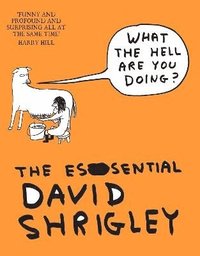 What The Hell Are You Doing The Essential David Shrigley David Shrigley Haftad Bokus