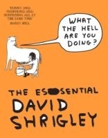 What The Hell Are You Doing?: The Essential David Shrigley (hftad)