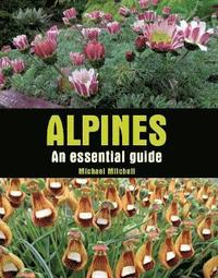 Alpines (inbunden)
