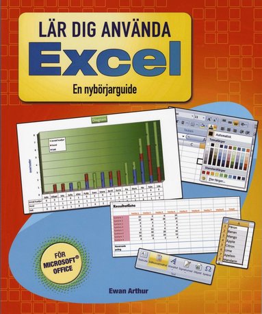 Lär dig använda Excel : en nybörjarguide (inbunden)