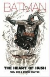 Batman: Heart of Hush - Paul Dini, Dustin Nguyen - Bok (9781848562134) |  Bokus