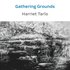 Gathering Grounds