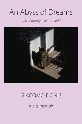 Abyss of Dreams (h�ftad)