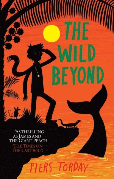 Wild Beyond (e-bok)